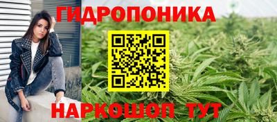 a pvp Обь